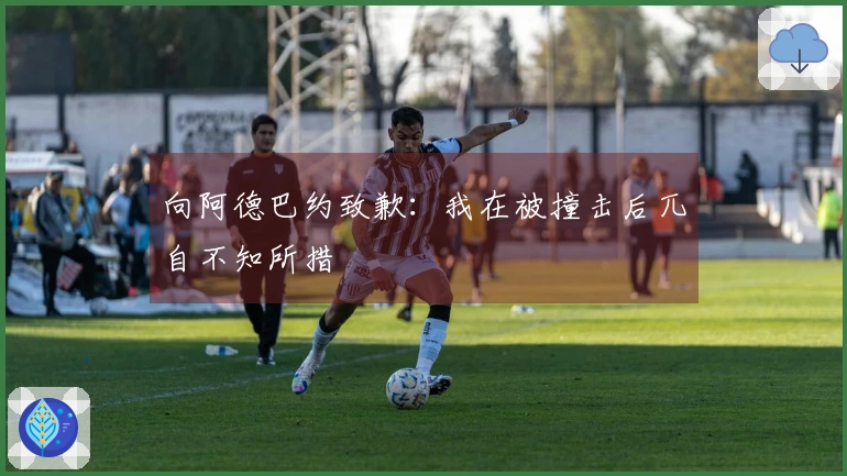向阿德巴约致歉：我在被撞击后兀自不知所措