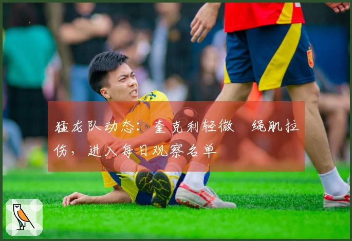 猛龙队动态：奎克利轻微腘绳肌拉伤，进入每日观察名单